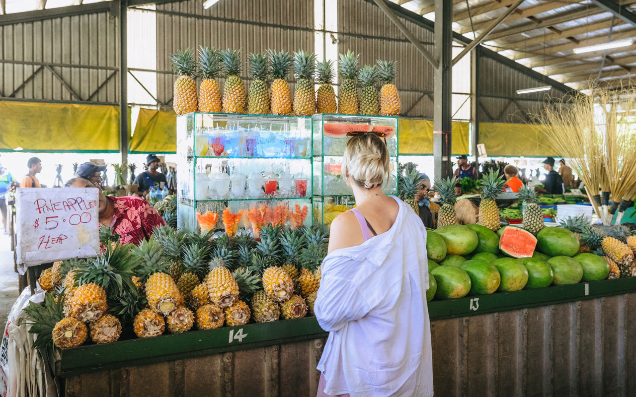 14 Things to Do in Fiji on a Budget Family Tourism Fiji — free download